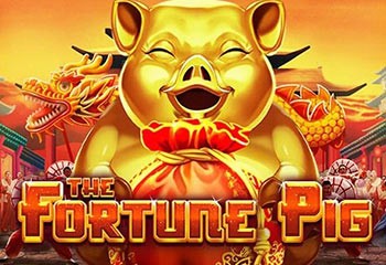 Fortune Pig