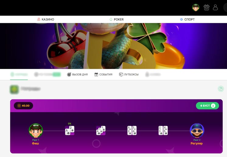 Программа лояльности