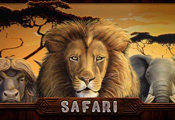 Safari